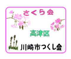 さくら会